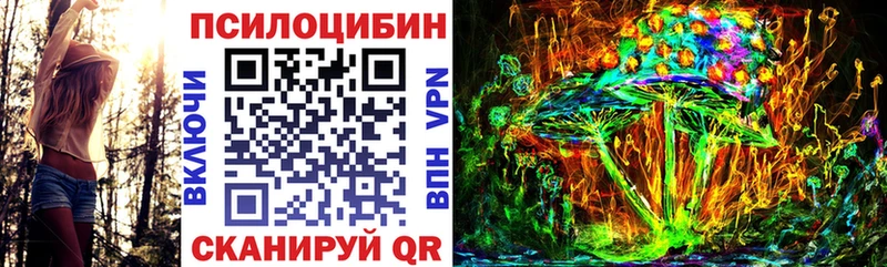 Купить где  Рузаевка  Псилоцибиновые грибы Psilocybe 